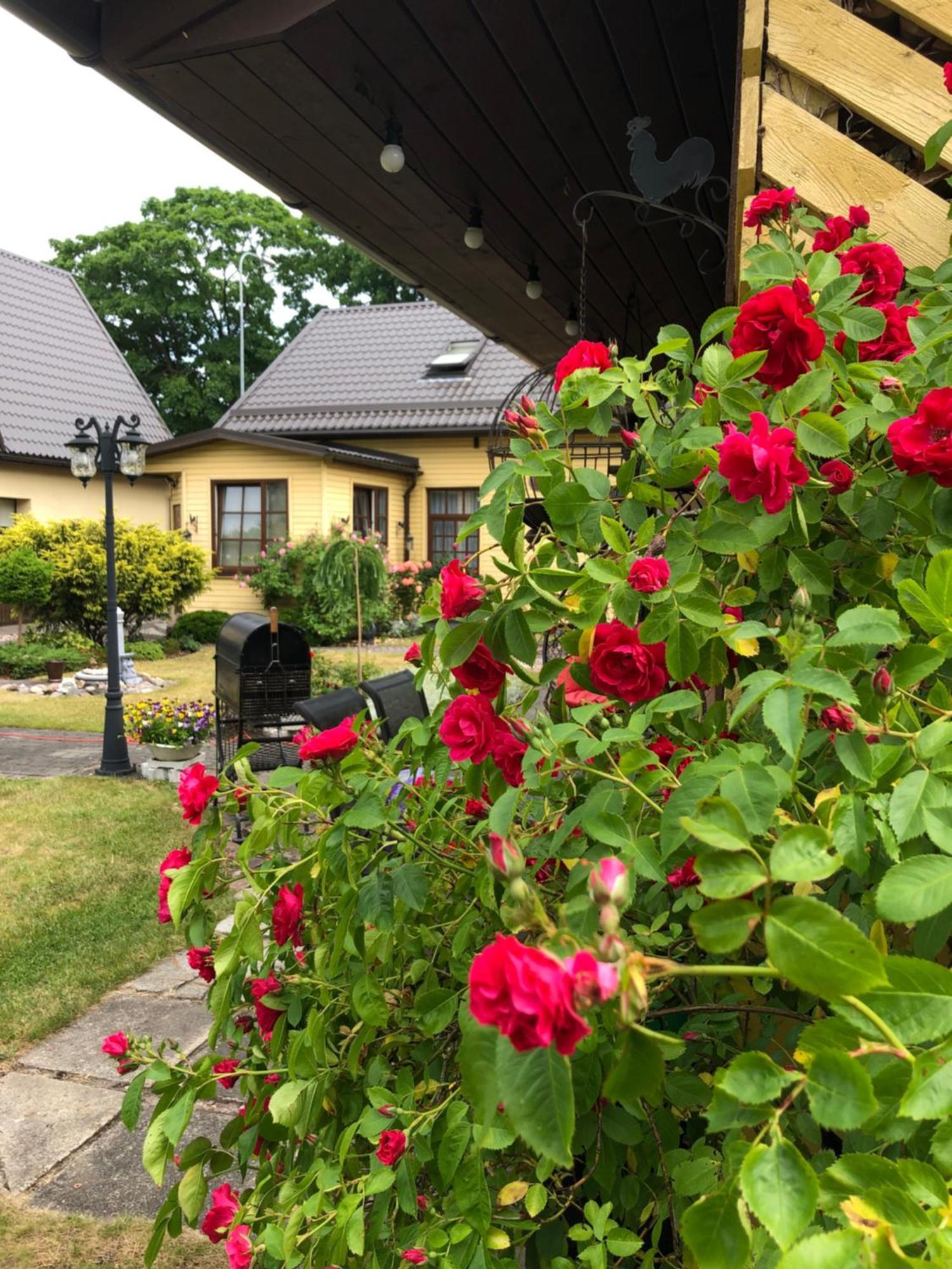 Anni Apartman Ventspils Kültér fotó