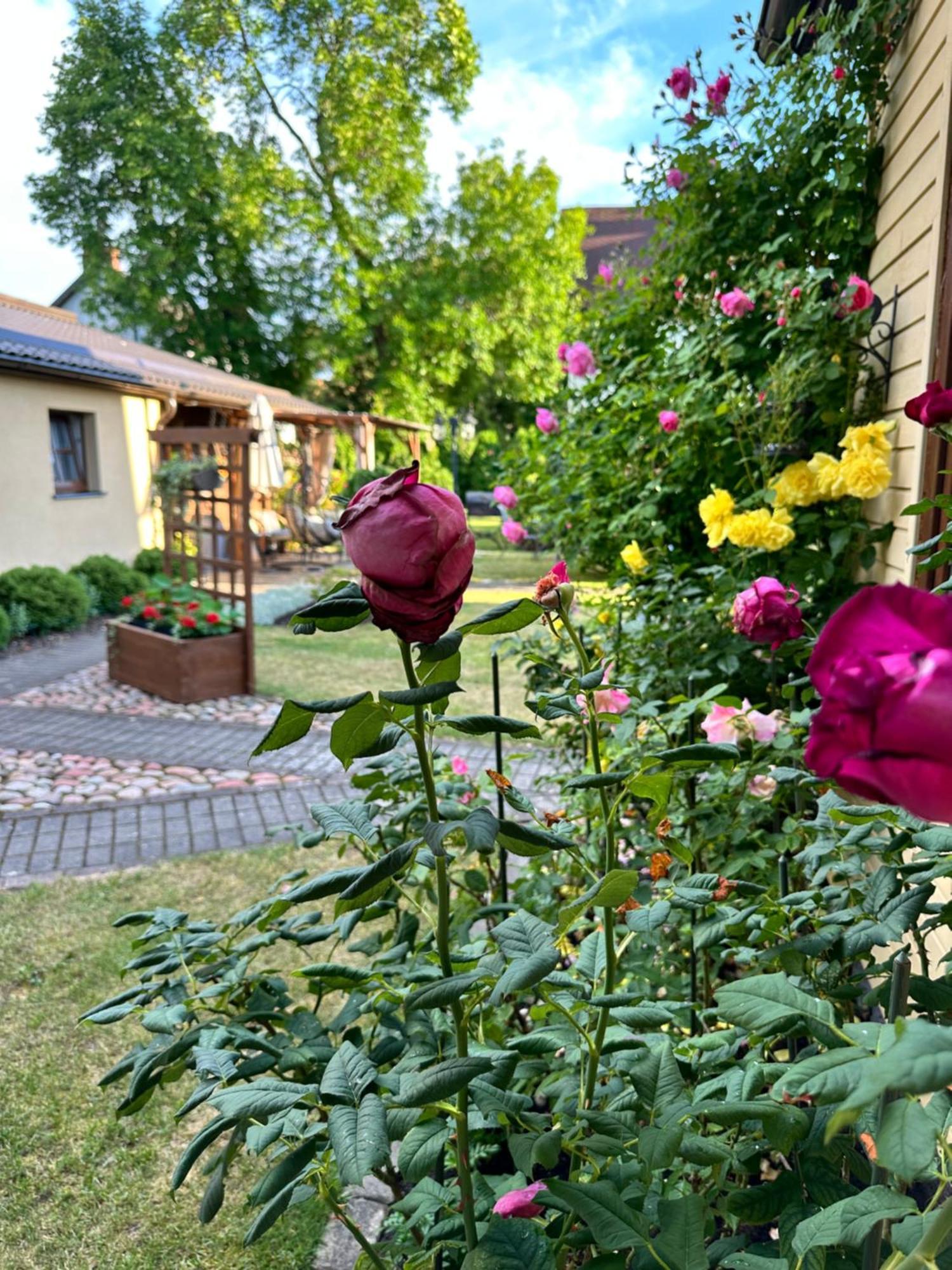 Anni Apartman Ventspils Kültér fotó